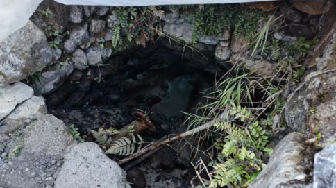 202511281764321010901982.png image.png